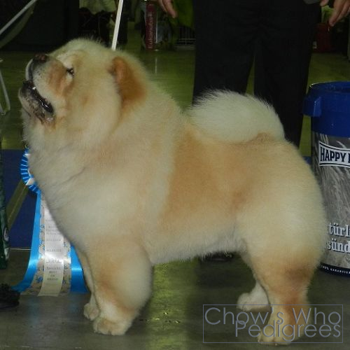 Chow's Who