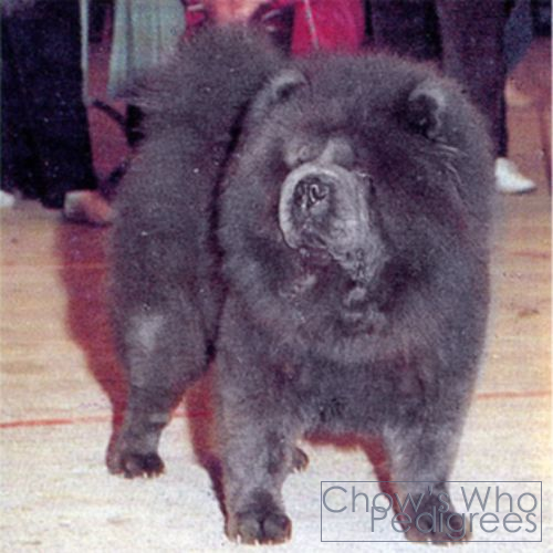 Chow's Who