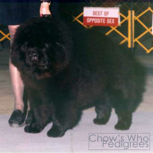 Chow's Who