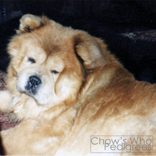 Chow's Who