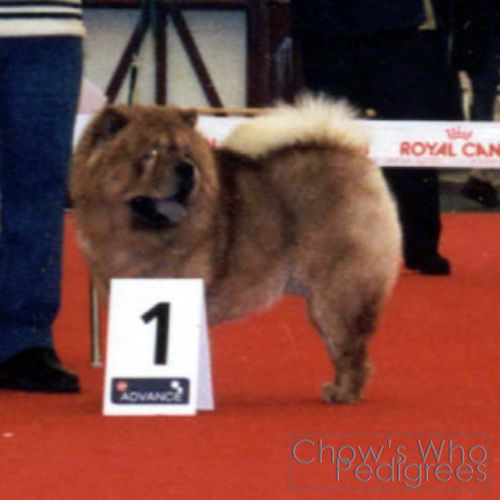 Chow's Who