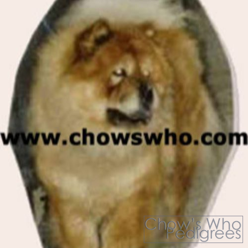 Chow's Who