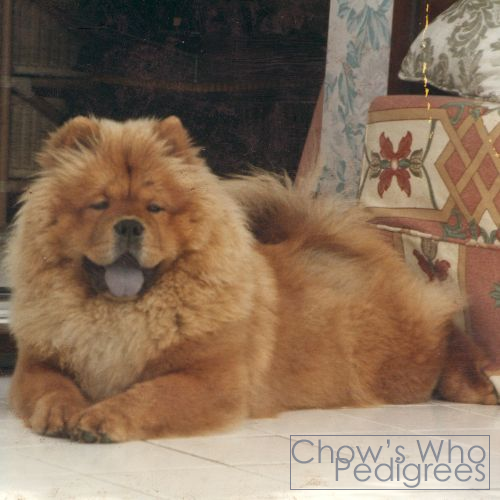 Chow's Who