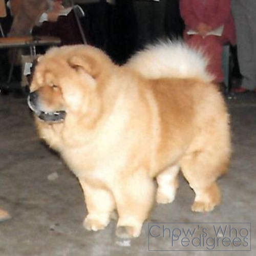 Chow's Who
