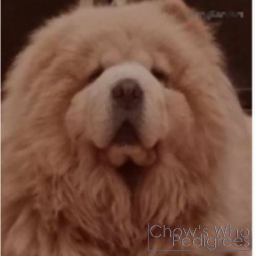 Chow's Who