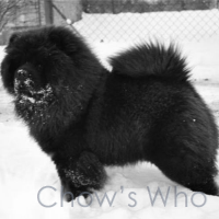 Chow's Who