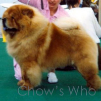 Chow's Who
