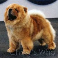 Chow's Who