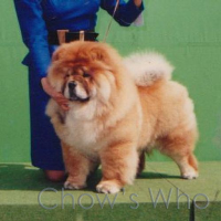 Chow's Who