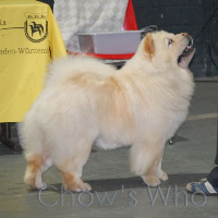 Chow's Who