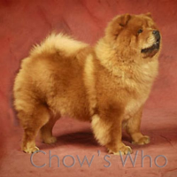 Chow's Who