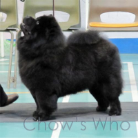 Chow's Who