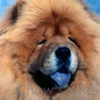 Chow's Who
