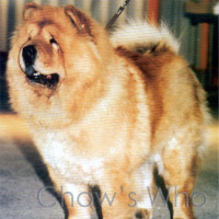 Chow's Who