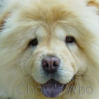 Chow's Who