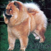 Chow's Who