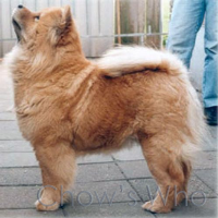 Chow's Who