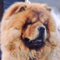 Chow's Who
