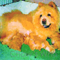 Chow's Who