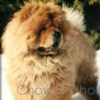 Chow's Who