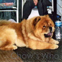 Chow's Who
