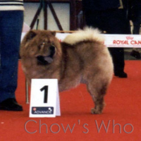Chow's Who
