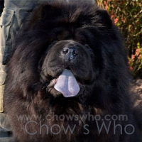 Chow's Who