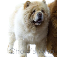 Chow's Who