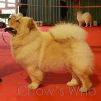Chow's Who