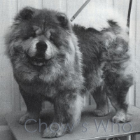 Chow's Who