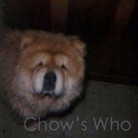 Chow's Who
