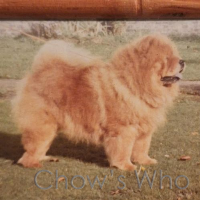Chow's Who