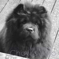 Chow's Who