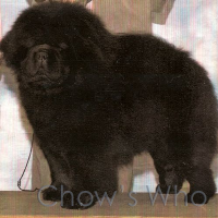 Chow's Who