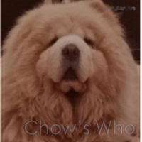 Chow's Who
