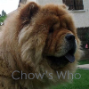 Chow's Who
