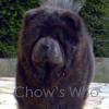 Chow's Who