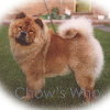Chow's Who