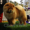 Chow's Who