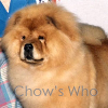 Chow's Who
