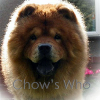 Chow's Who