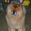 Chow's Who