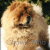 Chow's Who