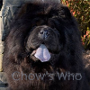Chow's Who