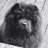Chow's Who