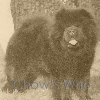 Chow's Who