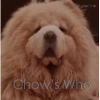 Chow's Who