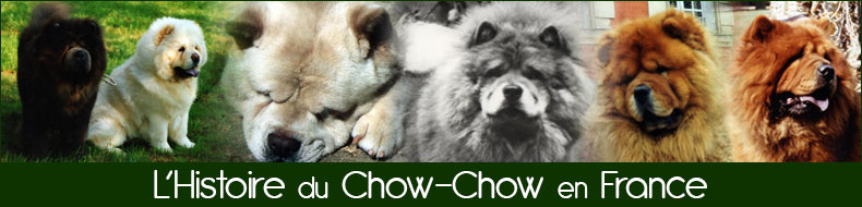 L'Histoire du Chow-Chow en France
