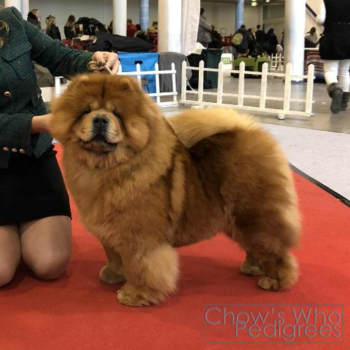 Chow's Who