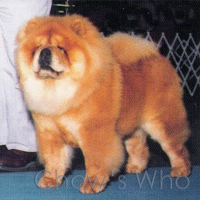 Chow's Who